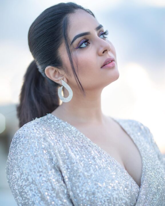 Sreemukhi hot cleavage stills