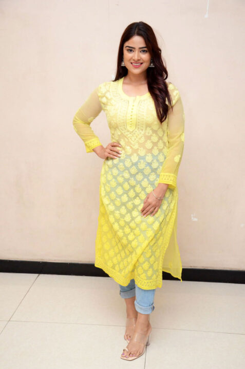 Priyanka Sharma stills at MENTOO Press Meet