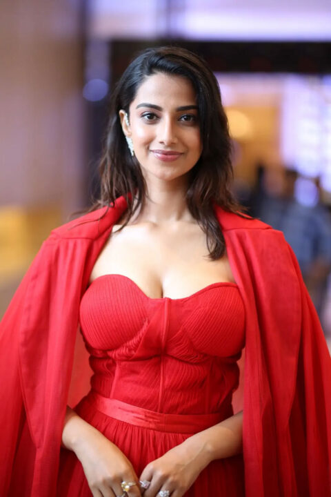 Meenakshi Chaudhary glam stills at SIIMA Awards 2023 Press Meet