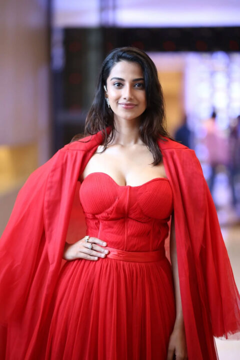 Meenakshi Chaudhary glam stills at SIIMA Awards 2023 Press Meet