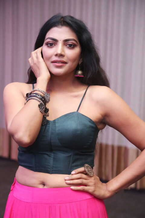 Lahari Shari sizzles at Spark movie pre release event