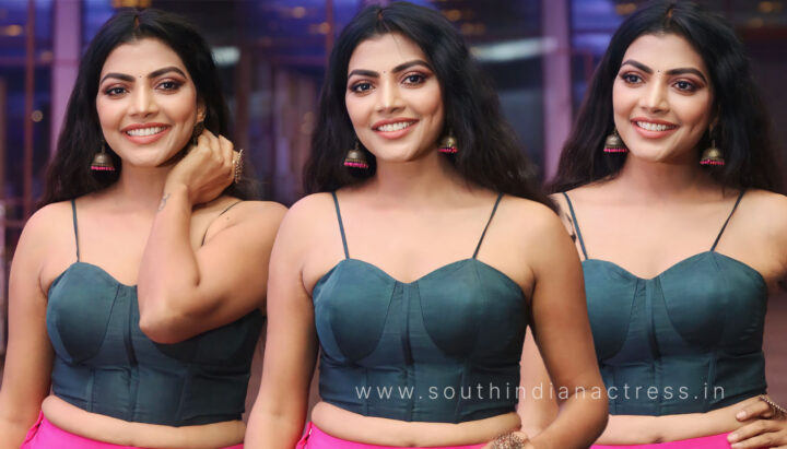 Lahari Shari sizzles at Spark movie pre release event