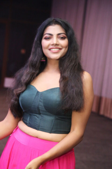 Lahari Shari sizzles at Spark movie pre release event