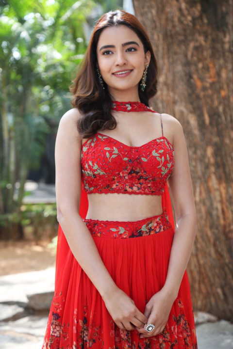 Rukshar Dhillon at Spark Success Meet