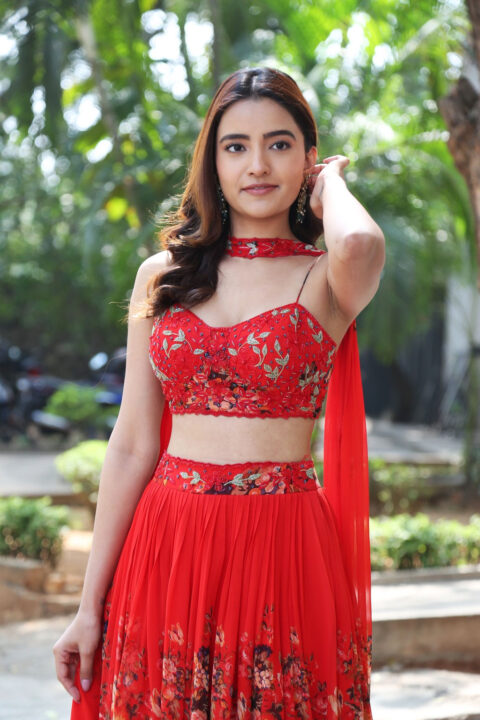 Rukshar Dhillon at Spark Success Meet