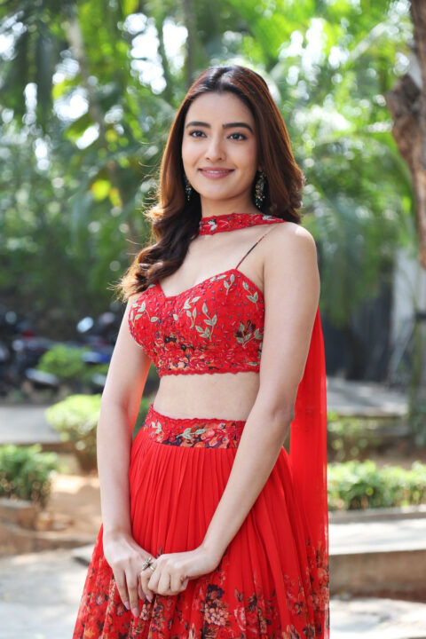 Rukshar Dhillon at Spark Success Meet