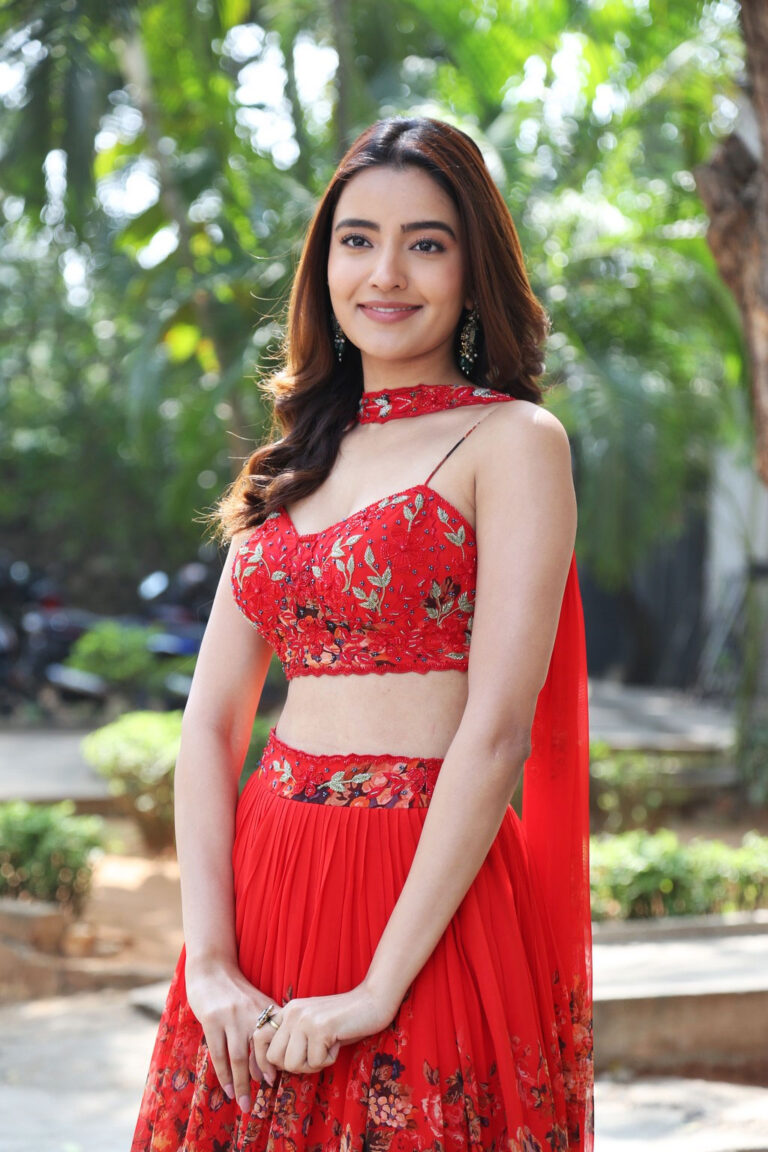 Rukshar Dhillon at Spark Success Meet - South Indian Actress