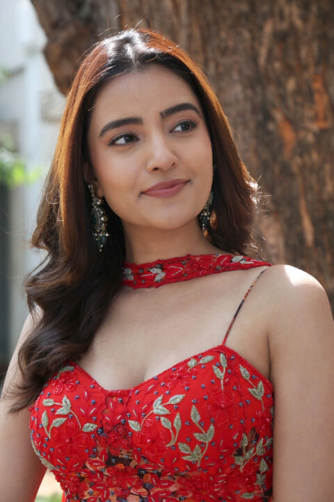 Rukshar Dhillon at Spark Success Meet