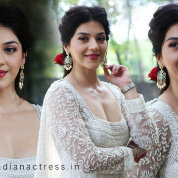 Mehreen Pirzada at Spark movie press meet