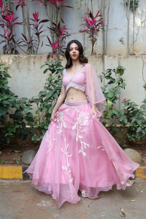 Vedhika Kumar navel photos in pink lehenga