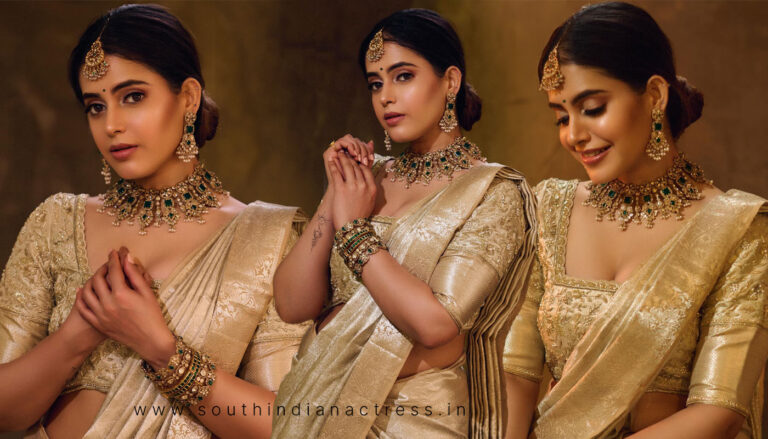 Shruti Prakash stills in kanchivaram saree