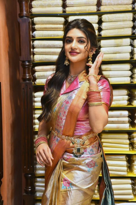 Sreeleela in saree stills at CMR Family Mall launch