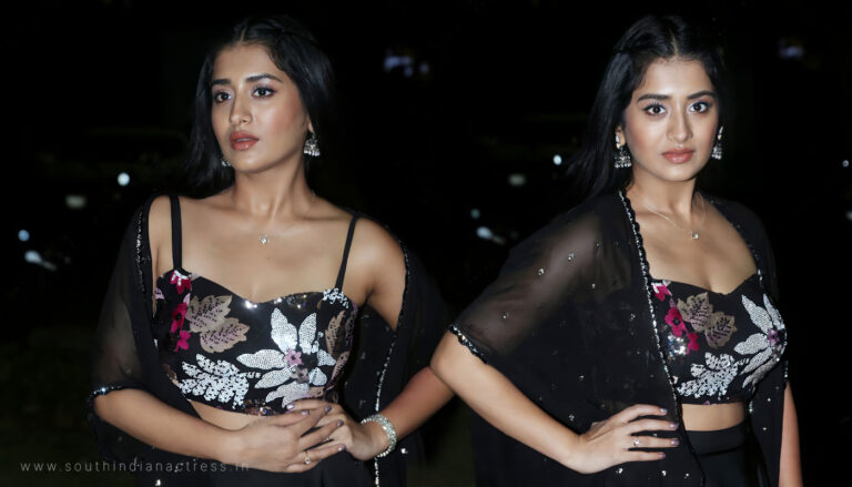 Rashi Singh's Dazzling Debut in Black: Butaddam Bhasker Narayana Pre-release Elegance