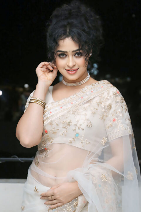 Apsara Rani hot navel stills in transparent saree