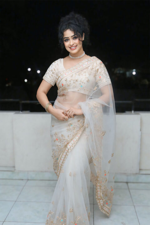Apsara Rani hot stills in transparent saree