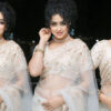 Apsara Rani in saree stills at Thalakona movie pre release
