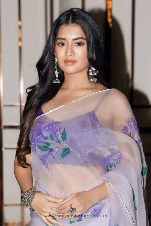 Rashi Singh hot navel stills in transparent saree