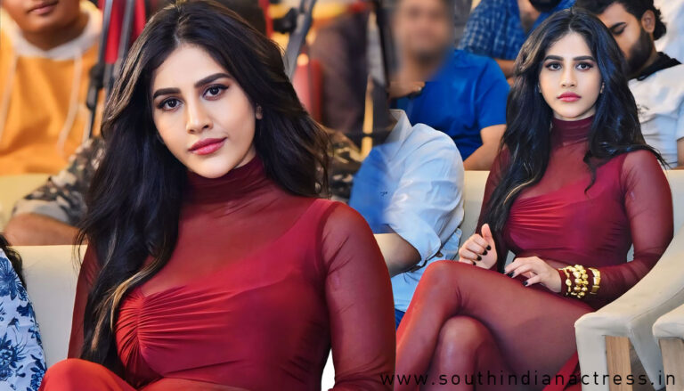 Nabha Natesh at Darling Movie Press Meet