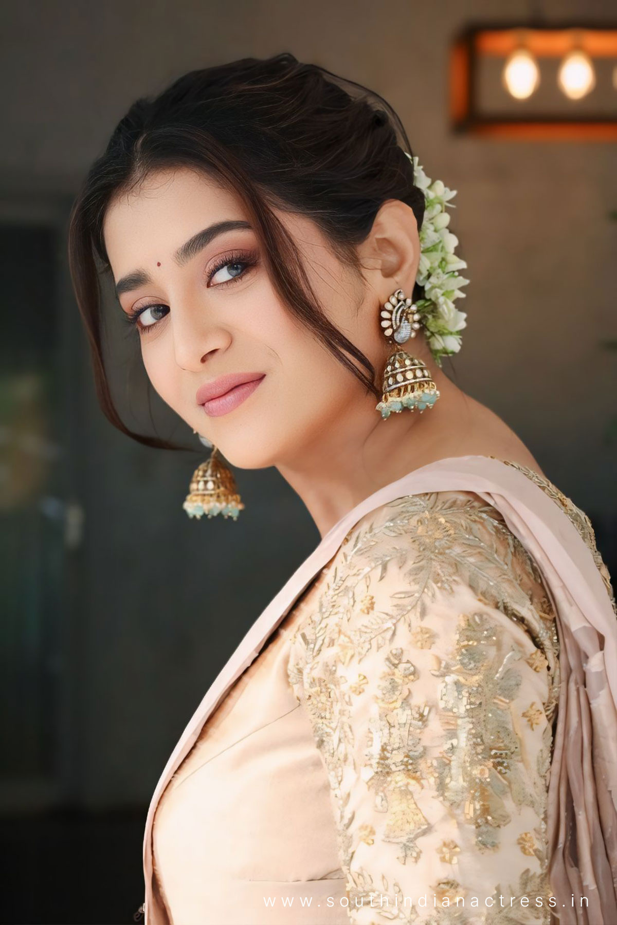 Rashi Singh in saree photos - South Indian Actress