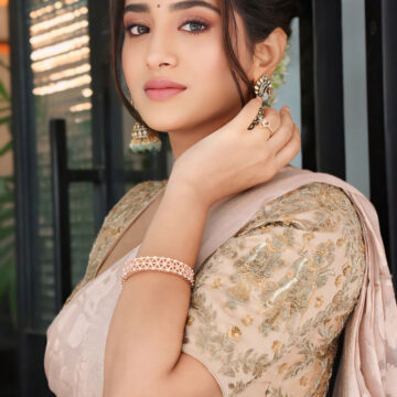 Previous Image