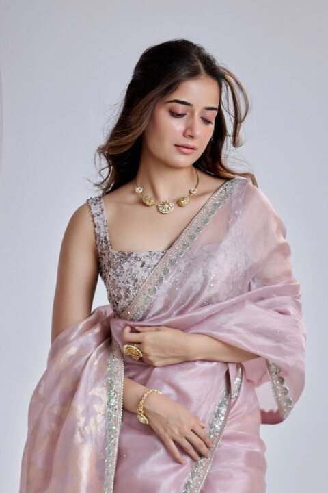 Ashika Ranganath in Pink Lavender Organza Saree photos