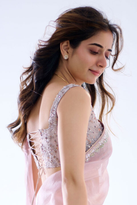 Ashika Ranganath in Pink Lavender Organza Saree photos