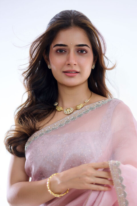 Ashika Ranganath in Pink Lavender Organza Saree photos