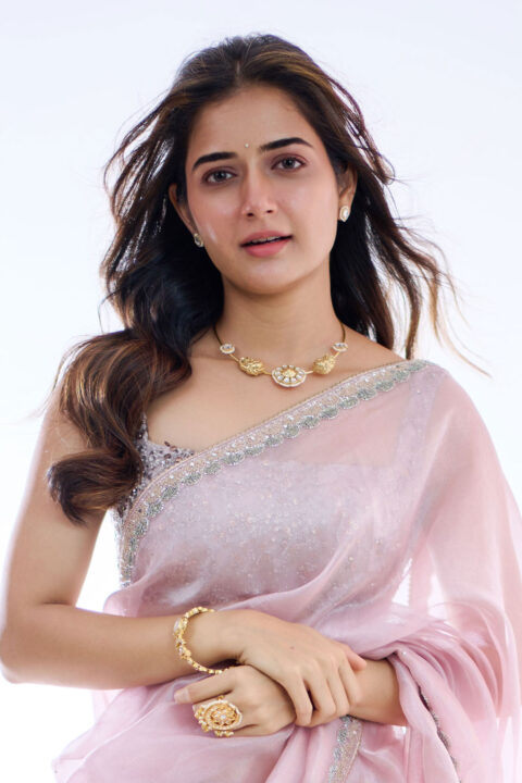 Ashika Ranganath in Pink Lavender Organza Saree photos