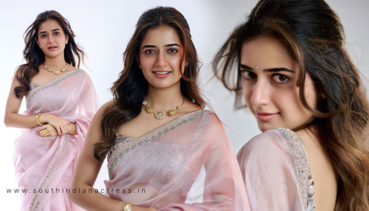 Ashika Ranganath in Pink Lavender Organza Saree photos