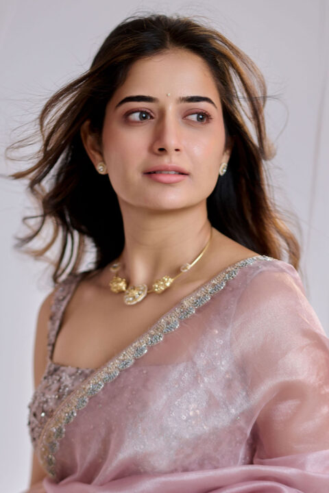 Ashika Ranganath in Pink Lavender Organza Saree photos