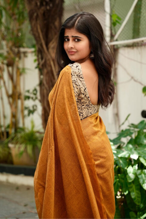 Influence of Rheena Krishnan on Saree Fashion