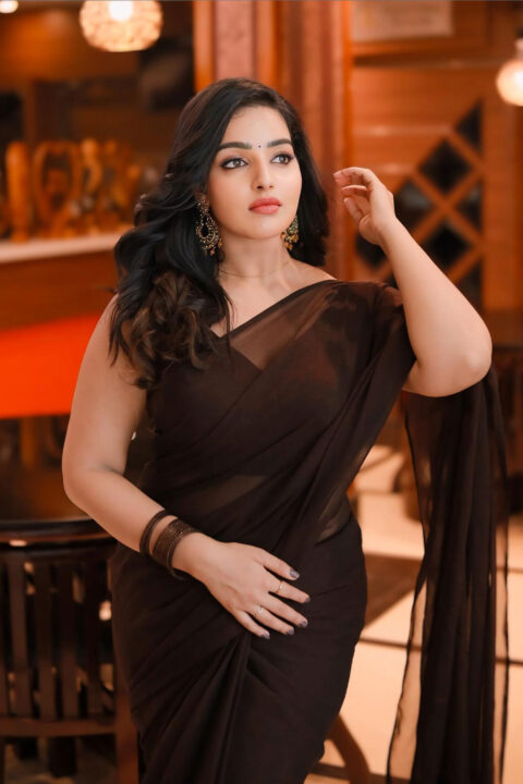 Malavika Menon in Elegant Saree Styles
