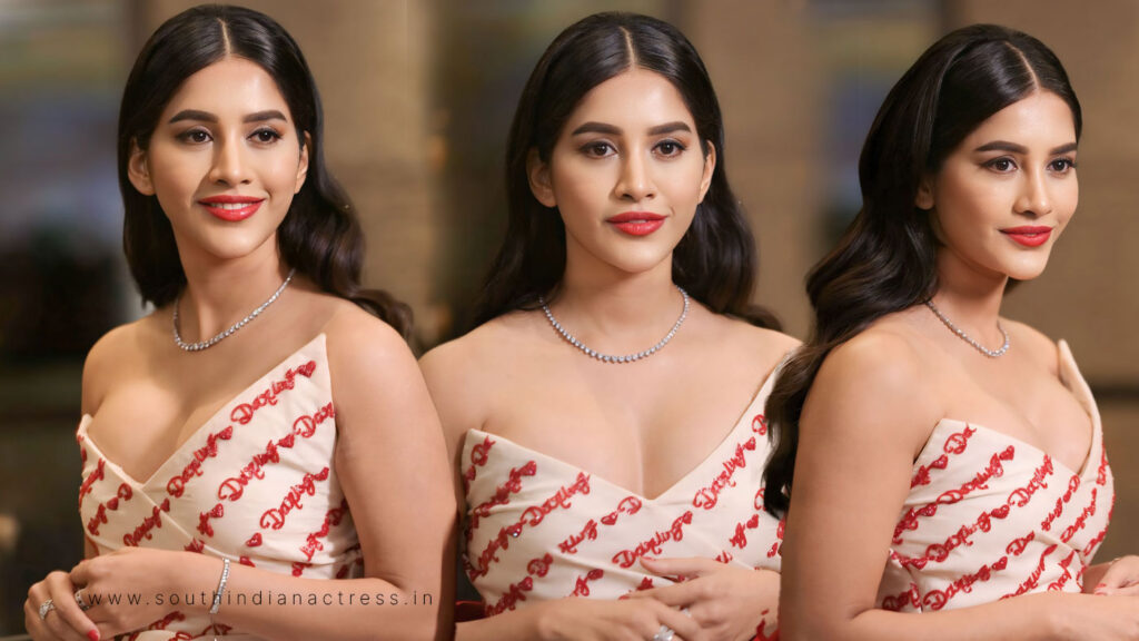 Nabha Natesh stills at Darling movie pre-release