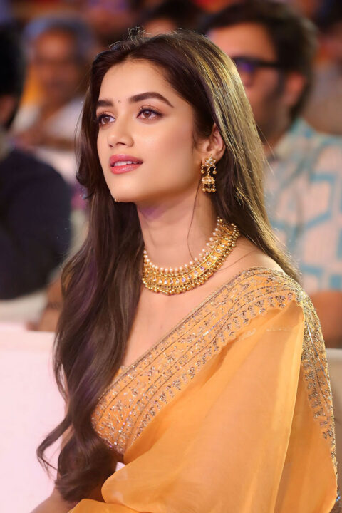 Bhagyashri Borse Dazzles in Yellow Saree at Mr. Bachchan Event