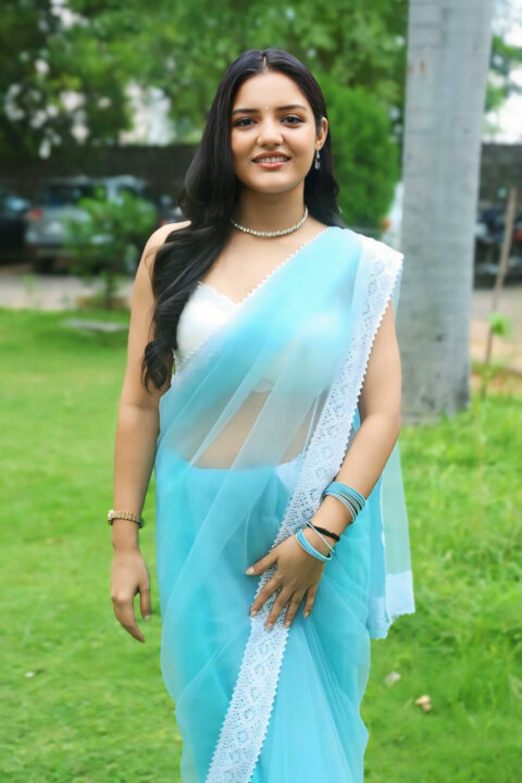 Ambika Vani Dazzles in Transparent Organza Saree at Teaser Launch