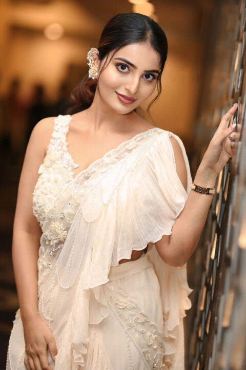 Ananya Nagalla Stuns in Draped Ruffle Saree at Pottel Pre-Release Event