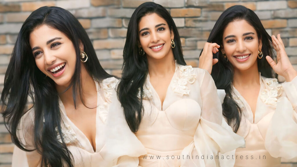 Daksha Nagarkar at Swag movie success meet