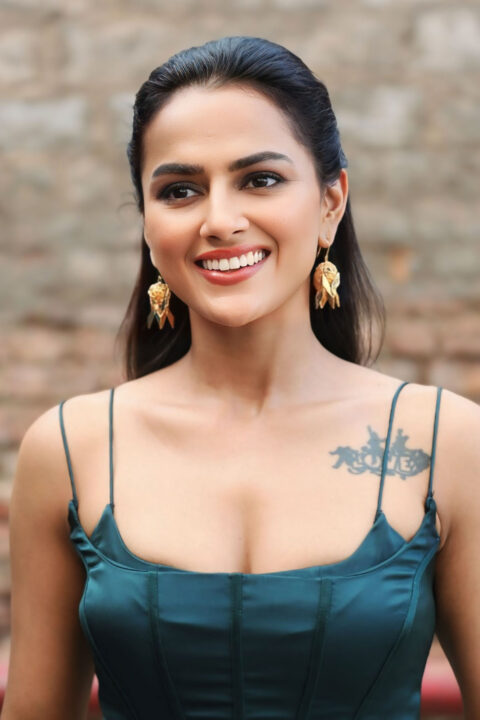 Shraddha Srinath Shines in Green Moulded Dress at Mechanic Rocky Event