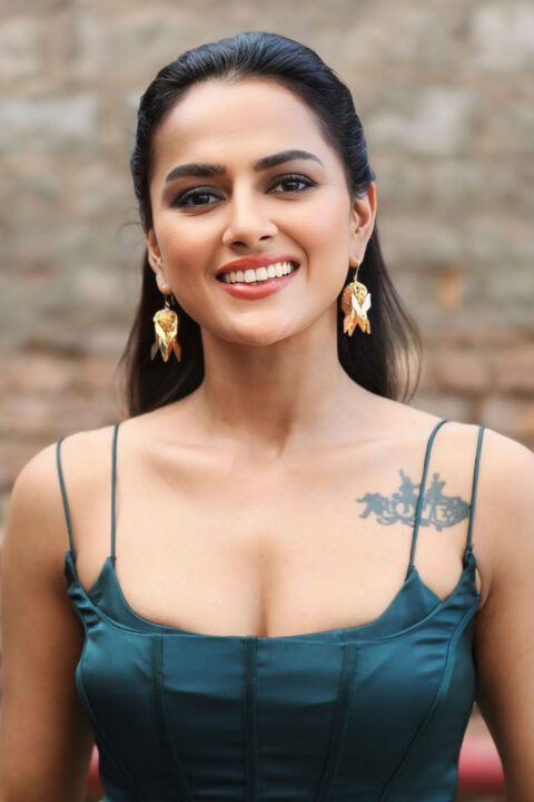 Shraddha Srinath in Stylish Green Draped Dress at Mechanic Rocky Trailer Launch