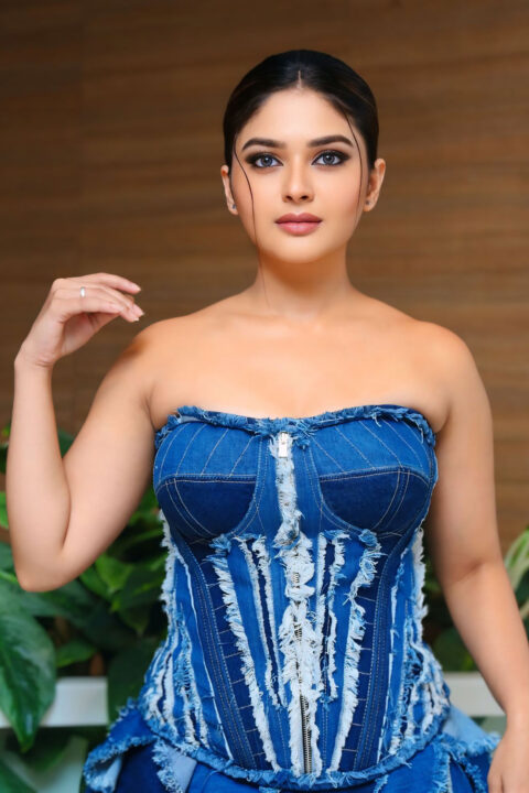 Vaibhavi Shandilya Stunning Ruffled Denim Gown Look at Martin Event