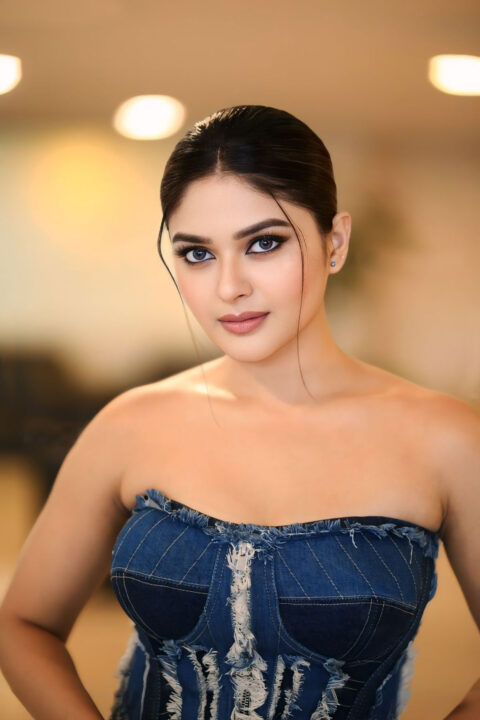 Vaibhavi Shandilya Dazzling Denim Gown Look at Martin Movie Pre-release