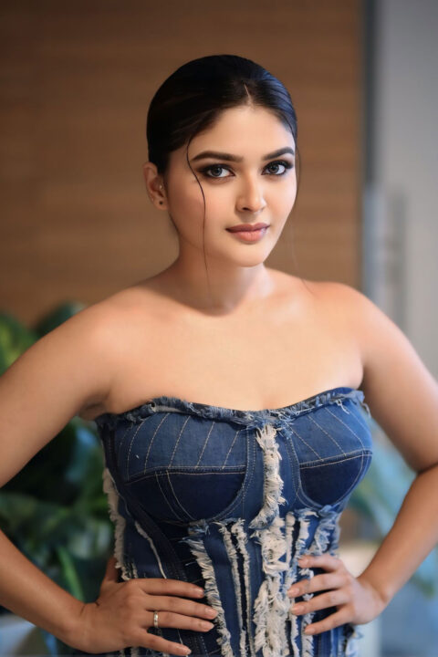 Vaibhavi Shandilya Wows in Ruffled Denim Gown at Martin Pre-release Event