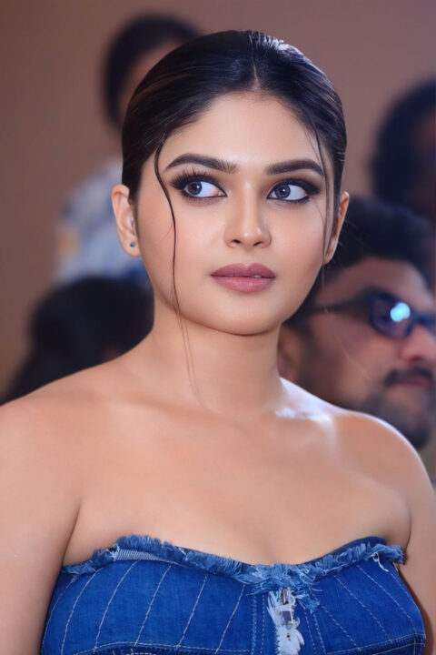 Vaibhavi Shandilya Turns Heads in Ruffled Denim Gown at Martin Pre-release