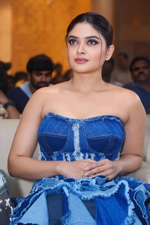 Vaibhavi Shandilya in Stylish Denim Gown at Martin Movie Pre-release Event