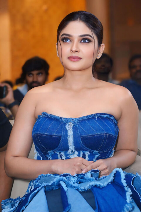 Vaibhavi Shandilya Glows in Ruffled Denim Gown at Martin Movie Event