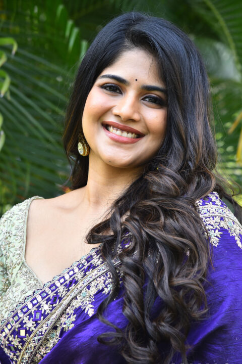 Megha Akash in Stylish Purple Saree at Vikkatakavi Press Meet