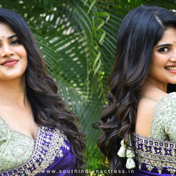 Megha Akash Stuns in Purple Saree photos