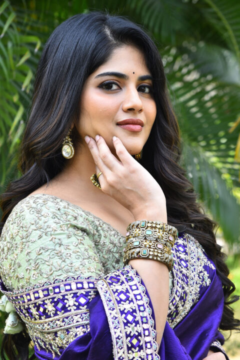 Megha Akash Wows in Purple Saree at Vikkatakavi Press Meet