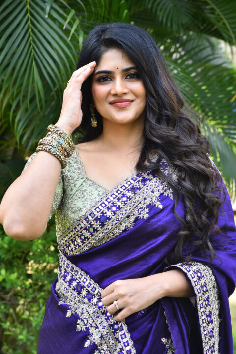 Megha Akash in Elegant Purple Saree at Vikkatakavi Press Meet