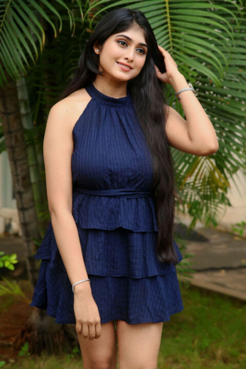 Aishwarya Ullas Shines in Navy Blue Flare Mini Dress at Dear Krishna Press Meet